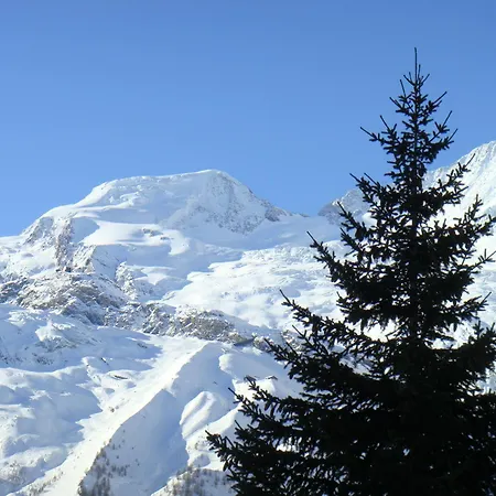 Amor Lodge Appartement