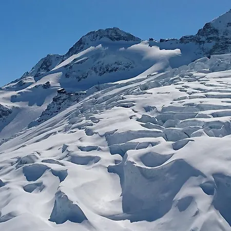 Amor Lodge Lägenhet *