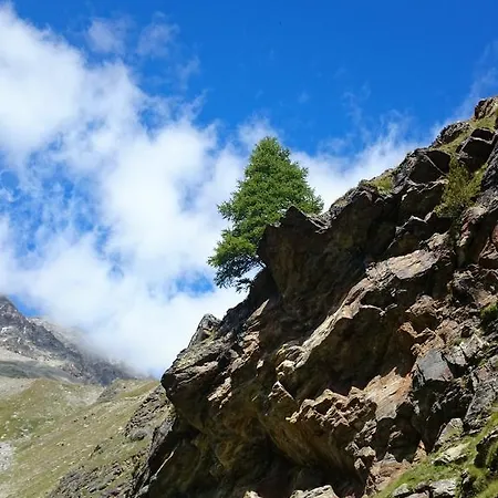 Amor Lodge Appartement *