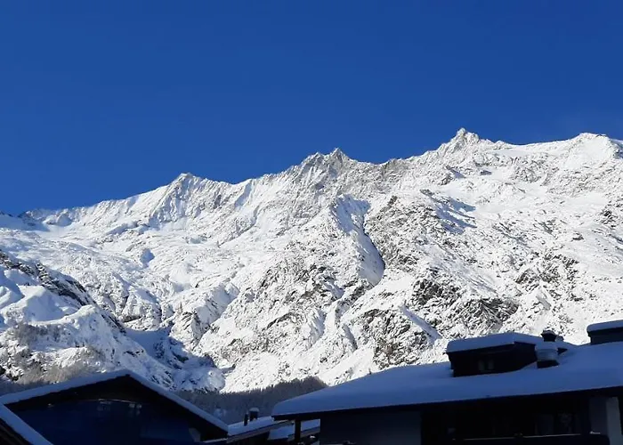 Amor Lodge Apartment Saas-Fee