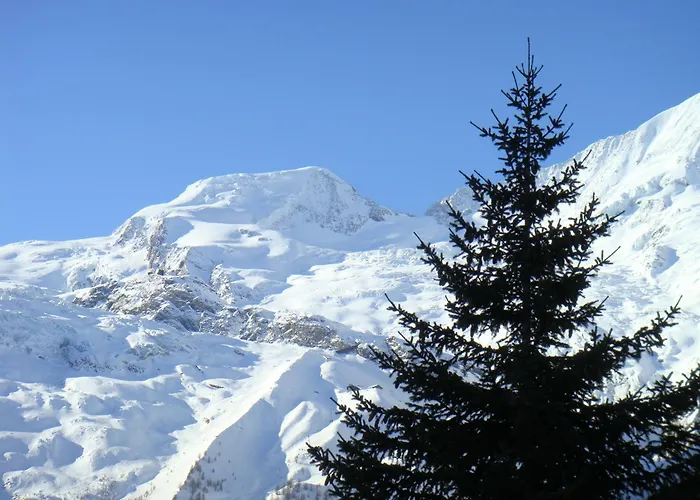 Amor Lodge Apartment