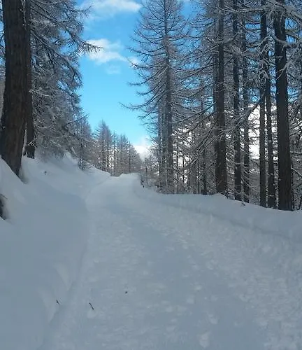 Apartment Amor Lodge Saas-Fee