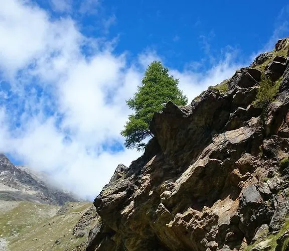 Amor Lodge Apartment *