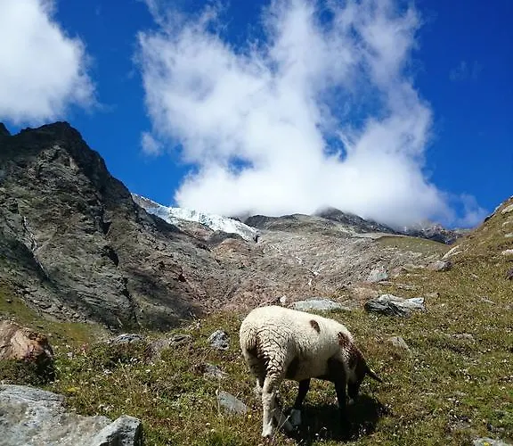 Apartment Amor Lodge Saas-Fee