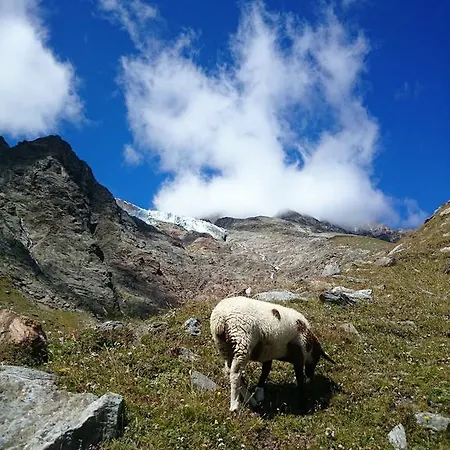 Διαμέρισμα Amor Lodge Saas Fee